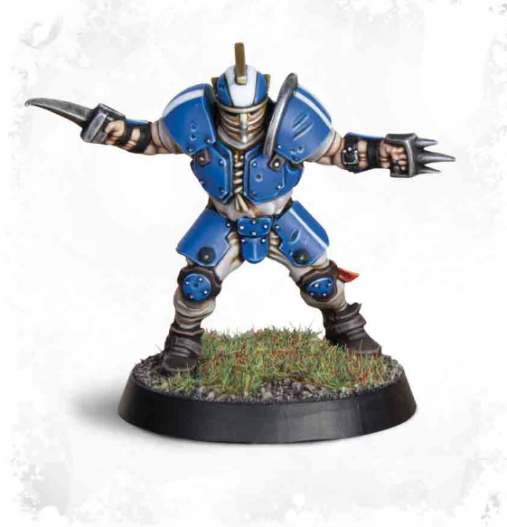 WARHAMAMER BLOOD BOWL: HUMAN TEAM - REIKLAND REAVERS-1590486851.png