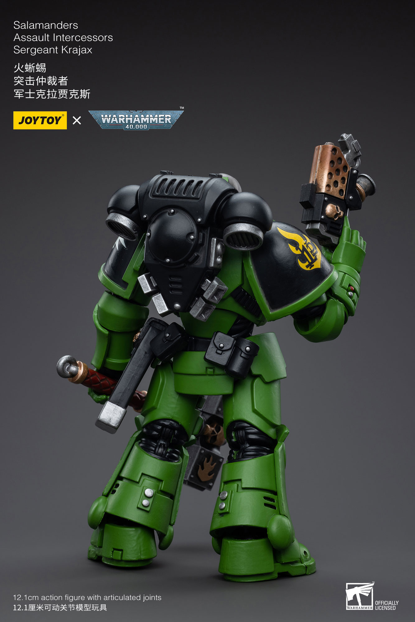 [JoyToy] Salamanders Assault Intercessors Sergeant Krajax JT5215-1688562909.jpg