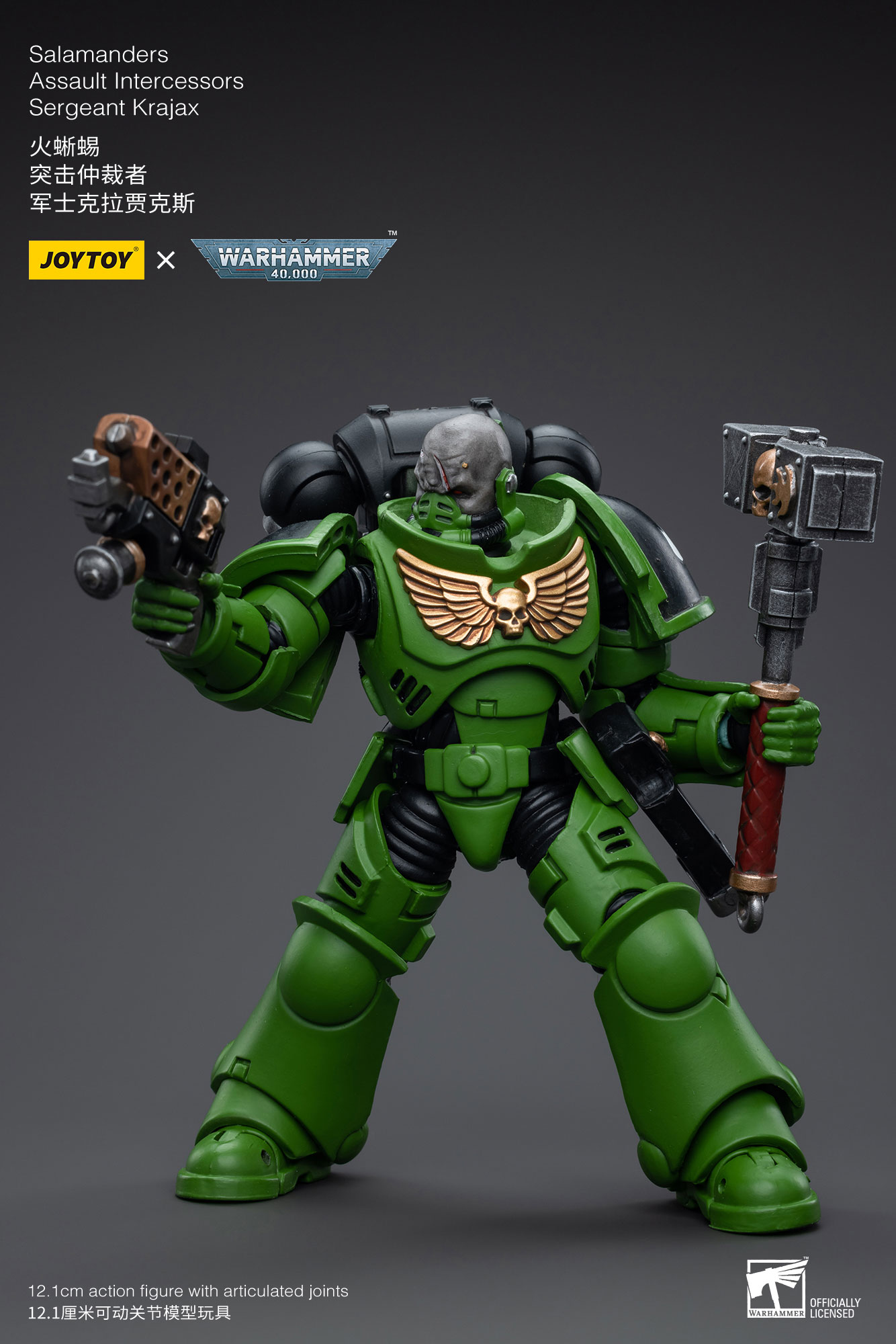 [JoyToy] Salamanders Assault Intercessors Sergeant Krajax JT5215-1688562914.jpg