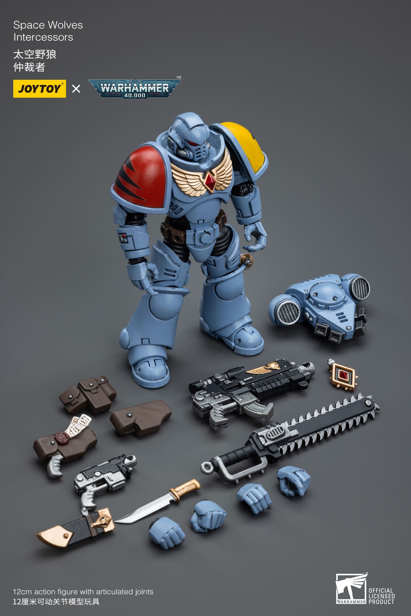 (JOYTOY) Space Wolves Intercessors JT6625-1691325538.jpg