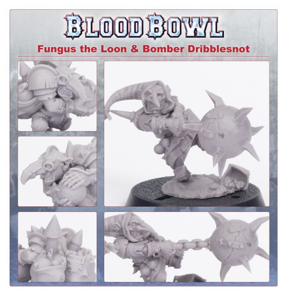 WARHAMMER BLOOD BOWL: FUNGUS THE LOON AND BOMBER DRIBBLESNOT-1709394924-6rNQy.jpg