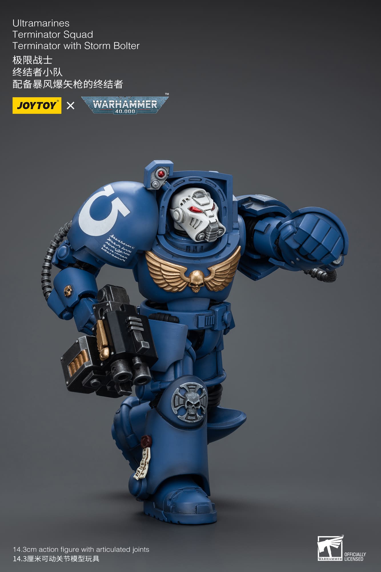 (JOYTOY) Ultramarines Terminator Squad Terminator with Storm Bolter JT9930-1717837702-bdd6t.jpg