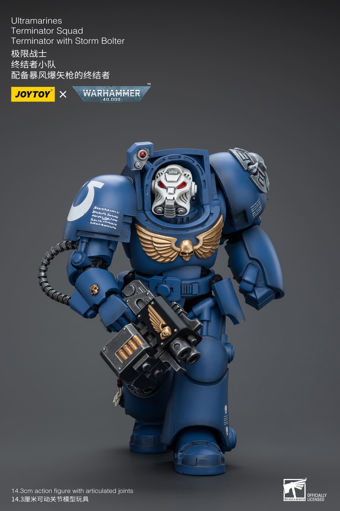 (JOYTOY) Ultramarines Terminator Squad Terminator with Storm Bolter JT9930-1717837704-mszKq.jpg