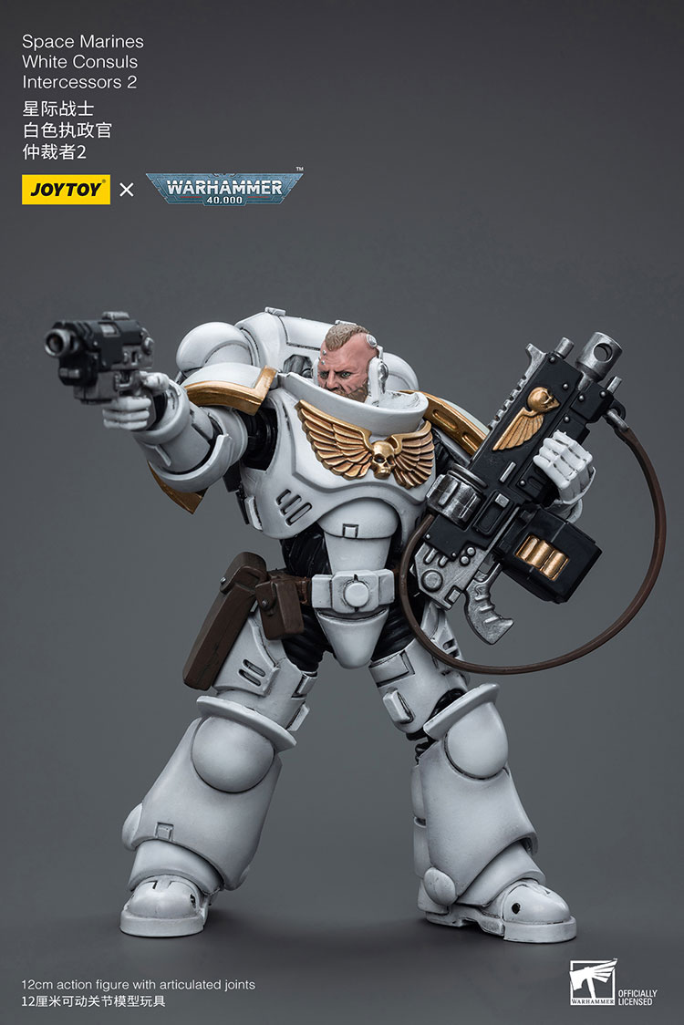 (JOYTOY) Space Marines White Consuls Intercessors 2 JT6854-1727960400-ApEfW.jpg
