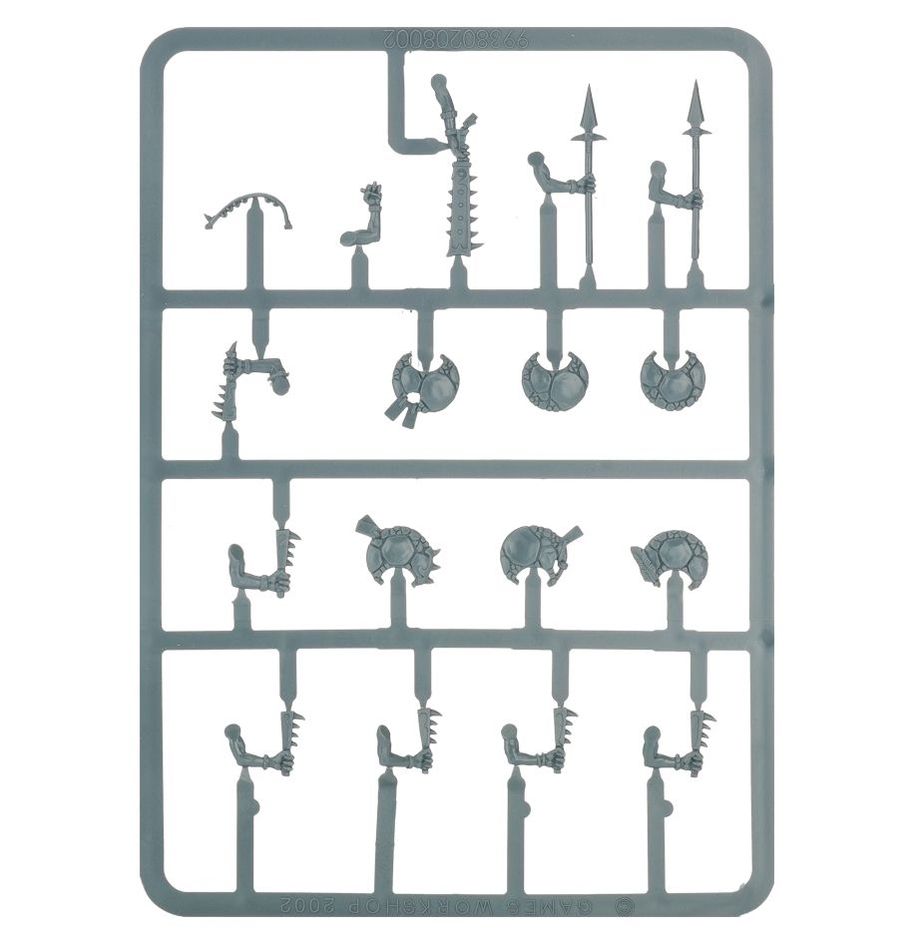 WARHAMMER AOS SERAPHON: SKINKS-1748008974-DtZqN.jpg
