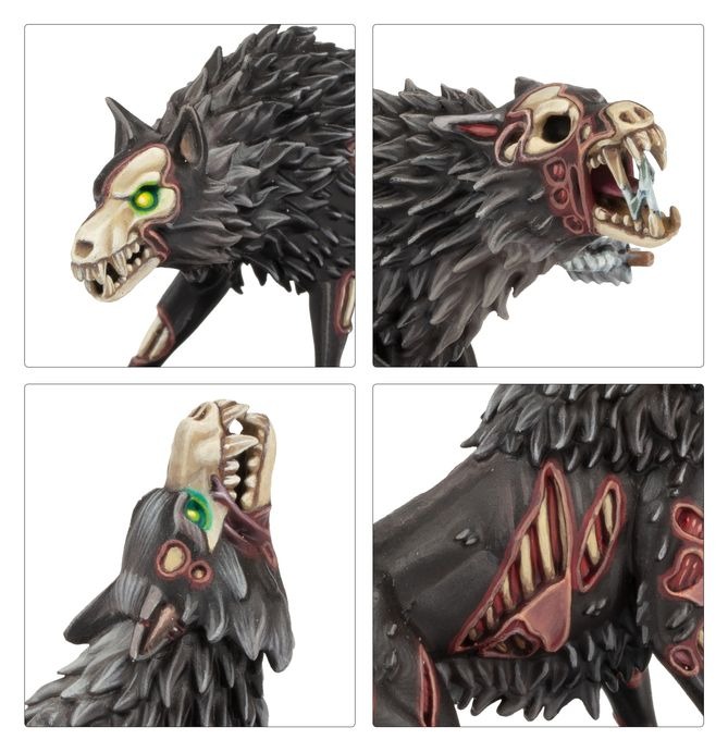 WARHAMMER AOS SOULBLIGHT GRAVELORDS: DIRE WOLVES-1748609959-VHagF.jpg