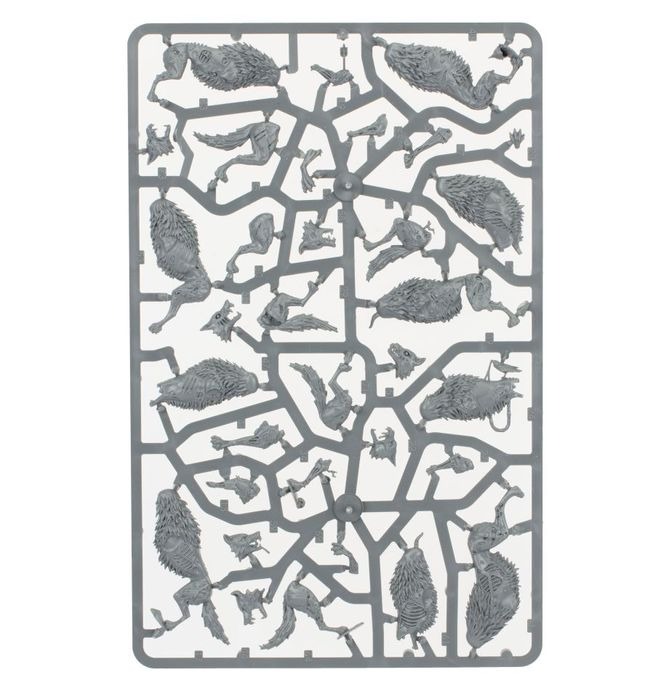WARHAMMER AOS SOULBLIGHT GRAVELORDS: DIRE WOLVES-1748609960-dWx8W.jpg
