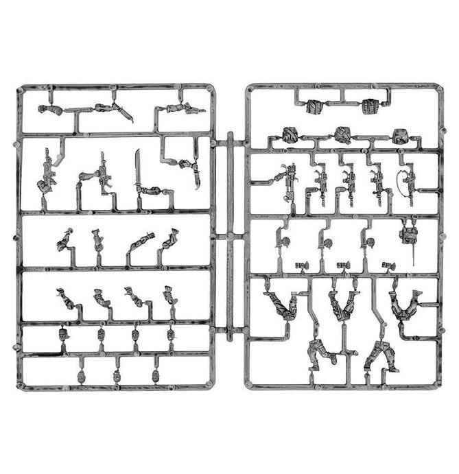 WARHAMMER 40K CATACHAN JUNGLE FIGHTERS-1753537828-IbWro.jpg
