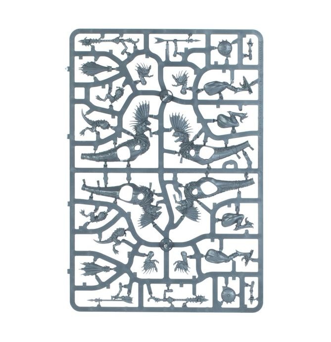 WARHAMMER AOS SERAPHON: RAPTADON HUNTERS-1754144149-XwE3m.jpg